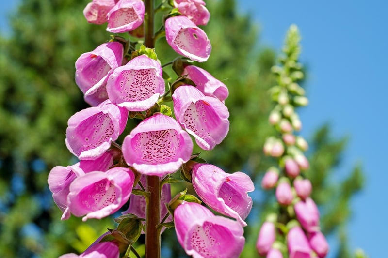 Vertical Tower Planter